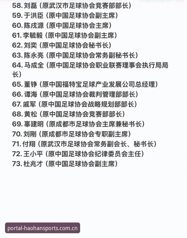 浩瀚体育苹果电脑登录功能详解 中国足协第三批禁足名单详解:17人终身禁赛48人遭重罚
